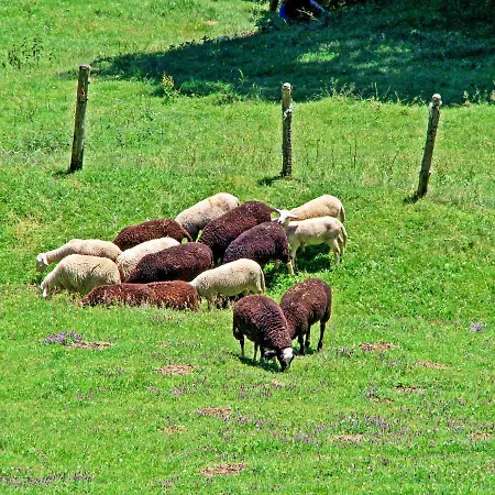 Geisler By Interhome Zellberg